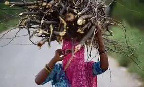 برخی هندی‌ها فضولات حیوانی را جایگزین گاز کردند