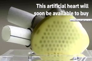 اولین قلب کاملا مصنوعی در اروپا مجوز فروش گرفت/ ویدیو