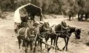  سفر در زمان؛ رد شدن درشکه‌ها از زیر قرآن در جادۀ قم در دوران قاجار