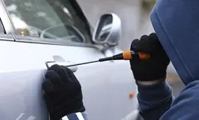 سرقت خودرو در کمتر از ۴۵ ثانیه/ ویدئو