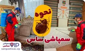 نحوه سمپاشی ساس کاملاً ایمن (طبق راهنمایی تخصصی شرکت سمپاشی ساس VIP)