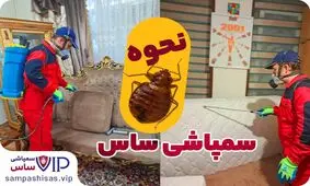 نحوه سمپاشی ساس کاملاً ایمن (طبق راهنمایی تخصصی شرکت سمپاشی ساس VIP)