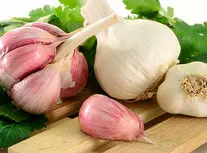 سیر را چطور بخوریم که بیشترین فایده را داشته باشد؟/ ویدئو