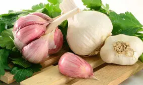 سیر را چطور بخوریم که بیشترین فایده را داشته باشد؟/ ویدئو