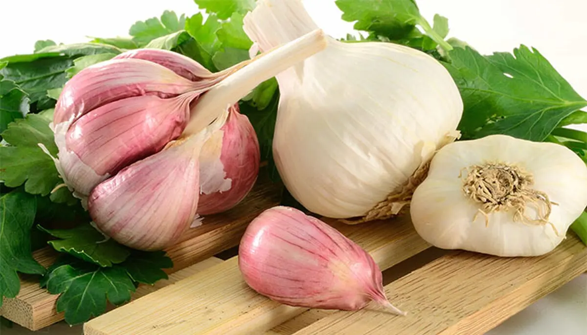سیر را چطور بخوریم که بیشترین فایده را داشته باشد؟/ ویدئو