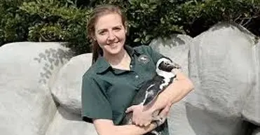 خواستگاری پنگوئن از یک دختر جوان/ ویدئو