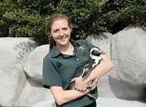 خواستگاری پنگوئن از یک دختر جوان/ ویدئو