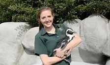 خواستگاری پنگوئن از یک دختر جوان/ ویدئو