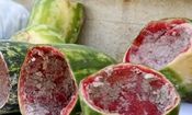 جزییات کشف ۳ کیلو مخدر شیشه از هندوانه های اهدایی