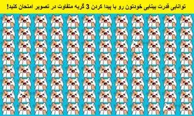 تست بینایی/  سه گربه متفاوت که در بین گربه های دیگر پنهان شده اند را پیدا کنید