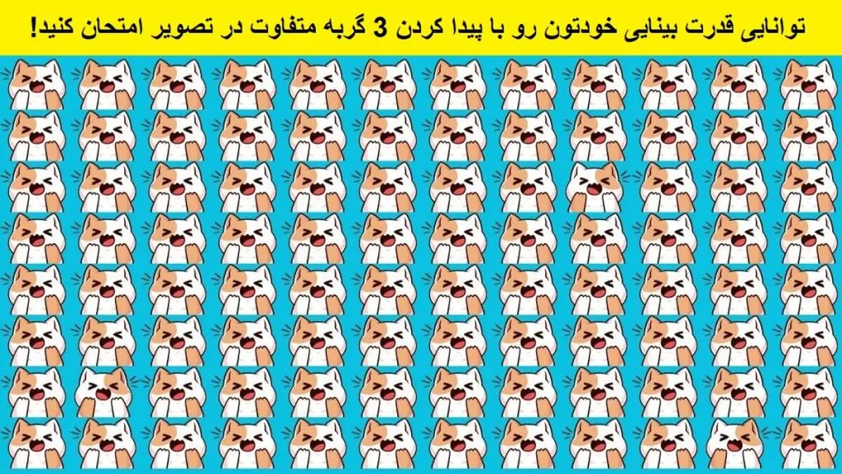تست بینایی/  سه گربه متفاوت که در بین گربه های دیگر پنهان شده اند را پیدا کنید