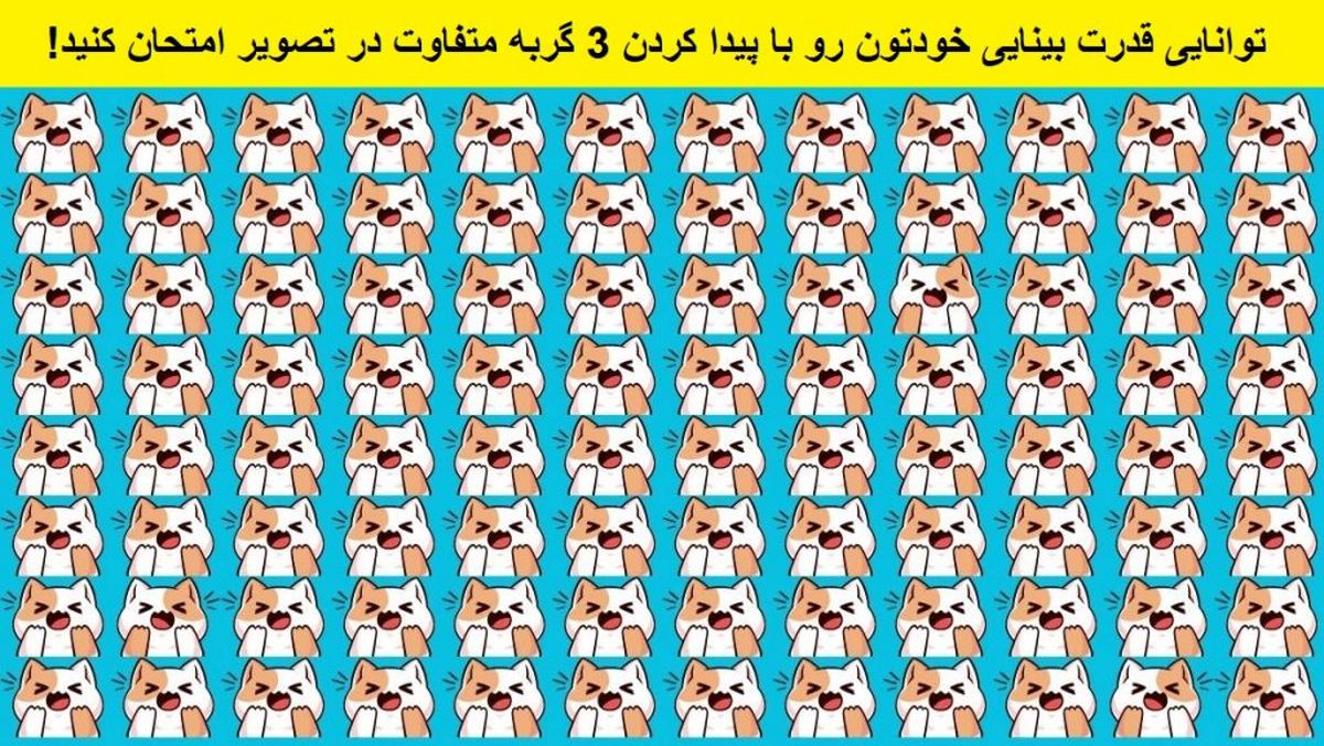 تست بینایی/  سه گربه متفاوت که در بین گربه های دیگر پنهان شده اند را پیدا کنید