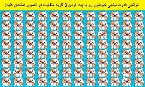 تست بینایی/  سه گربه متفاوت که در بین گربه های دیگر پنهان شده اند را پیدا کنید