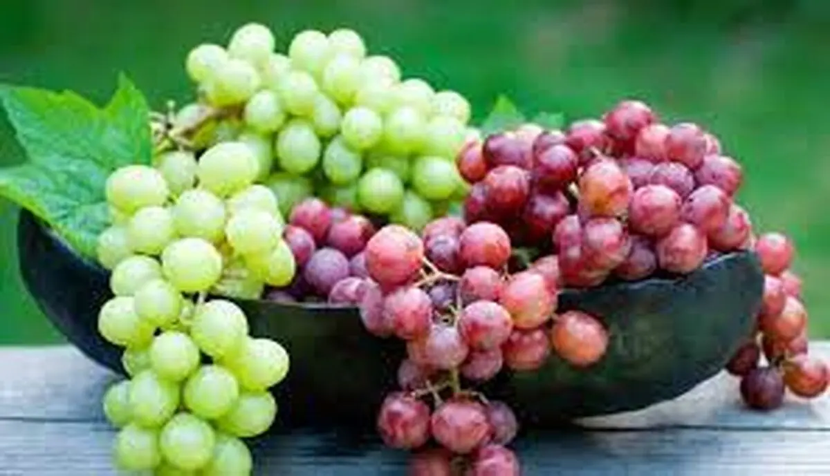 این میوه خوشمزه هم کبد چرب را درمان می‌کند هم باعث طول عمر می‌شود