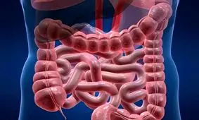 با این عادت‌های غلط روده‌ های خود را نابود می‌کنید