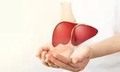 حسگر بی‌سیم برای بررسی آنی سلامت کبد اهدایی پیش از پیوند