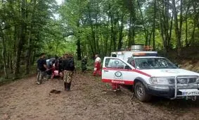 سقوط یک دستگاه خودرو به دره در یک محور شمالی