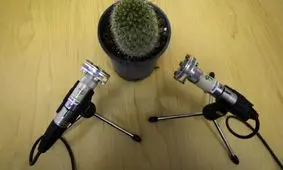 گیاهان تحت استرس گریه می کنند