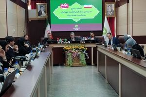 جزئیات افزایش وام‌های قرض‌الحسنه و تحول دیجیتال در بانک مهر ایران تشریح شد