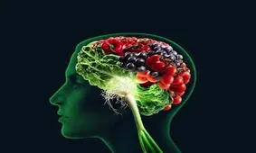 چگونه در پیری مغز سالمی داشته باشیم؟