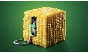 پذیره‌نویسی شگستر؛ در اولین زیست پالایشگاه ایران چگونه سرمایه‌گذاری کنیم؟ /نقدینگی مورد نیاز برای شرکت در این پذیره نویسی چقدر است؟