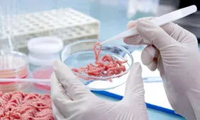 ساخت حسگری برای تشخیص فساد گوشت در مراحل اولیه

