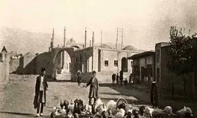 بوقلمون‌ چرانی در خیابان های تهران