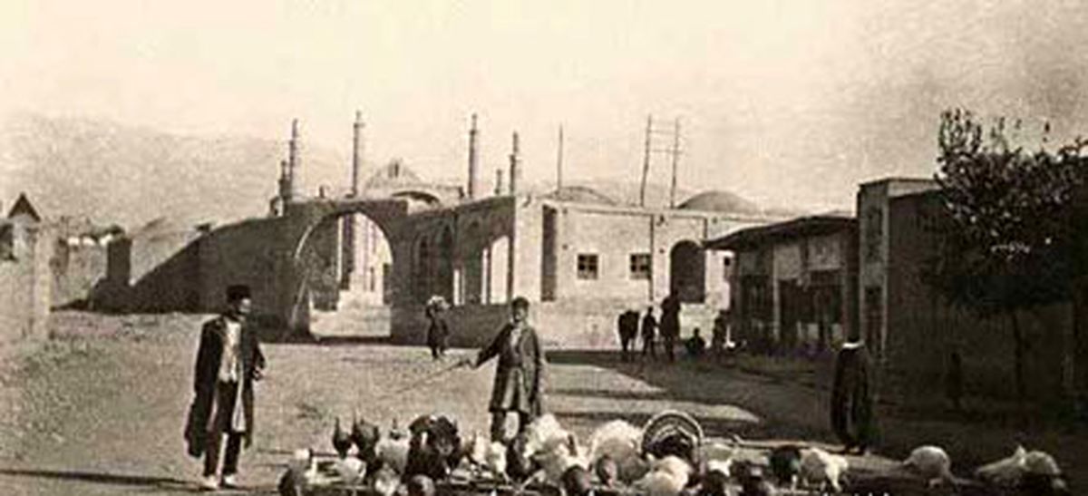 بوقلمون چرانی در خیابان های تهران