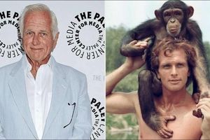 ران ایلی بازیگر مشهور سریال Tarzan در ۸۶ سالگی درگذشت