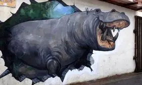 هنر خیابانی؛ شاهکارهای خلاقانه هنرمند بریتانیایی روی دیوارها و کف خیابان‌های دنیا