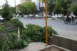 امروز هم در تهران باد شدید می‌وزد، مراقب باشید