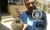 نفوذ گروه هکری سپر کوروش به اطلاعات دبیرکل کومله/ تصاویر