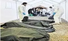 کلاهبرداری بزرگ با 383جسد 