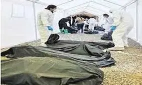 کلاهبرداری بزرگ با 383جسد 