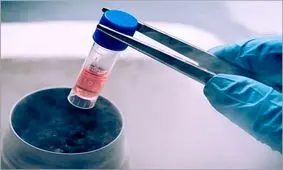 فریز تخمک؛ حفظ باروری برای زوجین و دختران مجرد