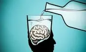 نوشیدن الکل نحوه ارتباط مغز را عمیقاً تغییر می‌دهد

