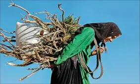 کوله بران هیزم؛ از رنج مردم تا مرگ جنگل