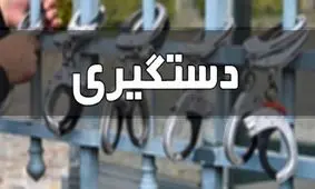 دستگیری سارق انبار و کارگاه‌ ها در فارسان