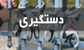 دستگیری سارق انبار و کارگاه‌ ها در فارسان