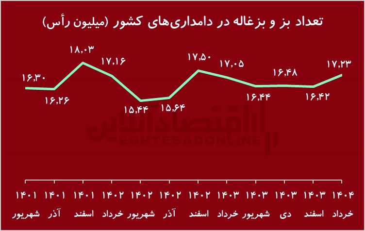 زنگ خطر کاهش شدید دام پرواری/ گوشت قرمز کمیاب می‌شود؟