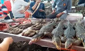 به دنبال ویروسی جدید در بازار مواد غذایی ووهان