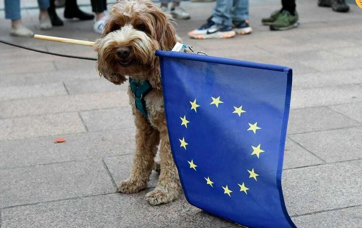 واق واق سگ در پارلمان اروپا/ ویدئو