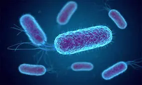 باکتری مغز ندارد، اما حافظه‌اش را به نسل‌های بعدی انتقال می‌دهد!