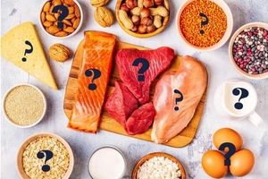چه مقدار پروتئین نیاز داریم؟