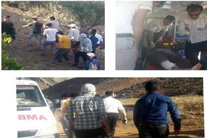 حمله خرس وحشی به چوپان ۲۲ ساله در ناغان