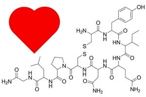 هورمون عشق/ اکسی توسین چیست؟