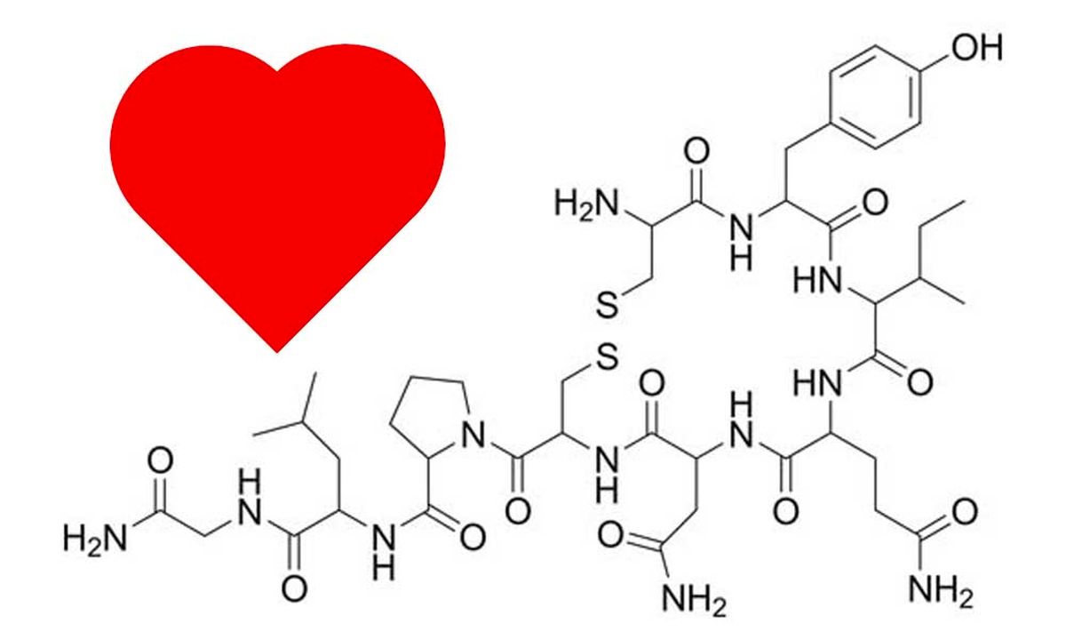 هورمون عشق/ اکسی توسین چیست؟