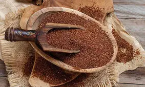 خواص درمانی خاکشیر برای سلامتی