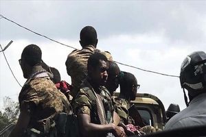 کنترل کامل ارتش اتیوپی بر یک ایالت استراتژیک 
