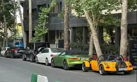 شغلی که از آن خبر ندارید؛ ماشین پارک کن پول بگیر!